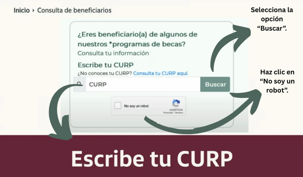 Buscador de Estatus