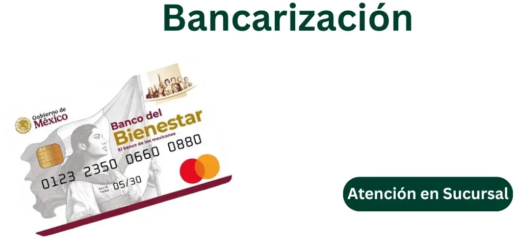 Buscador de Estatus