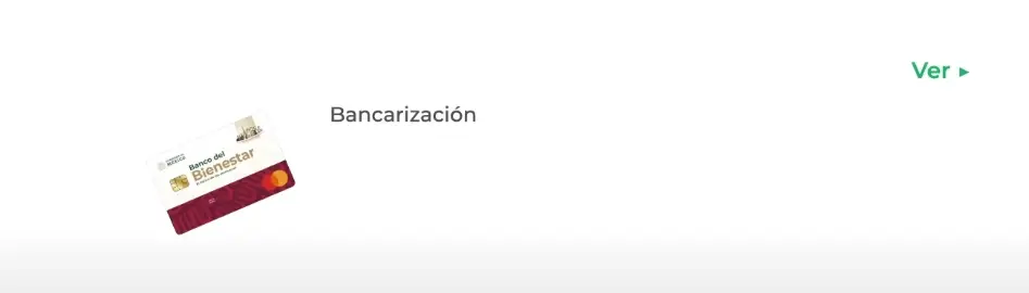 Buscador de Estatus