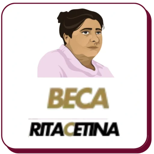 Buscador De Estatus
