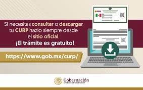 Cómo consultar tu CURP en línea en 2025 (gratis y rápido)